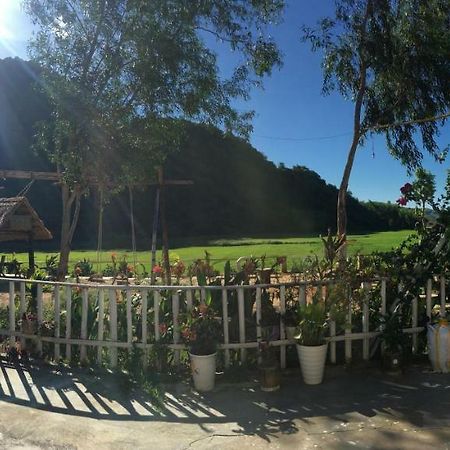 Phong Nha Rice Field Homestay 外观 照片