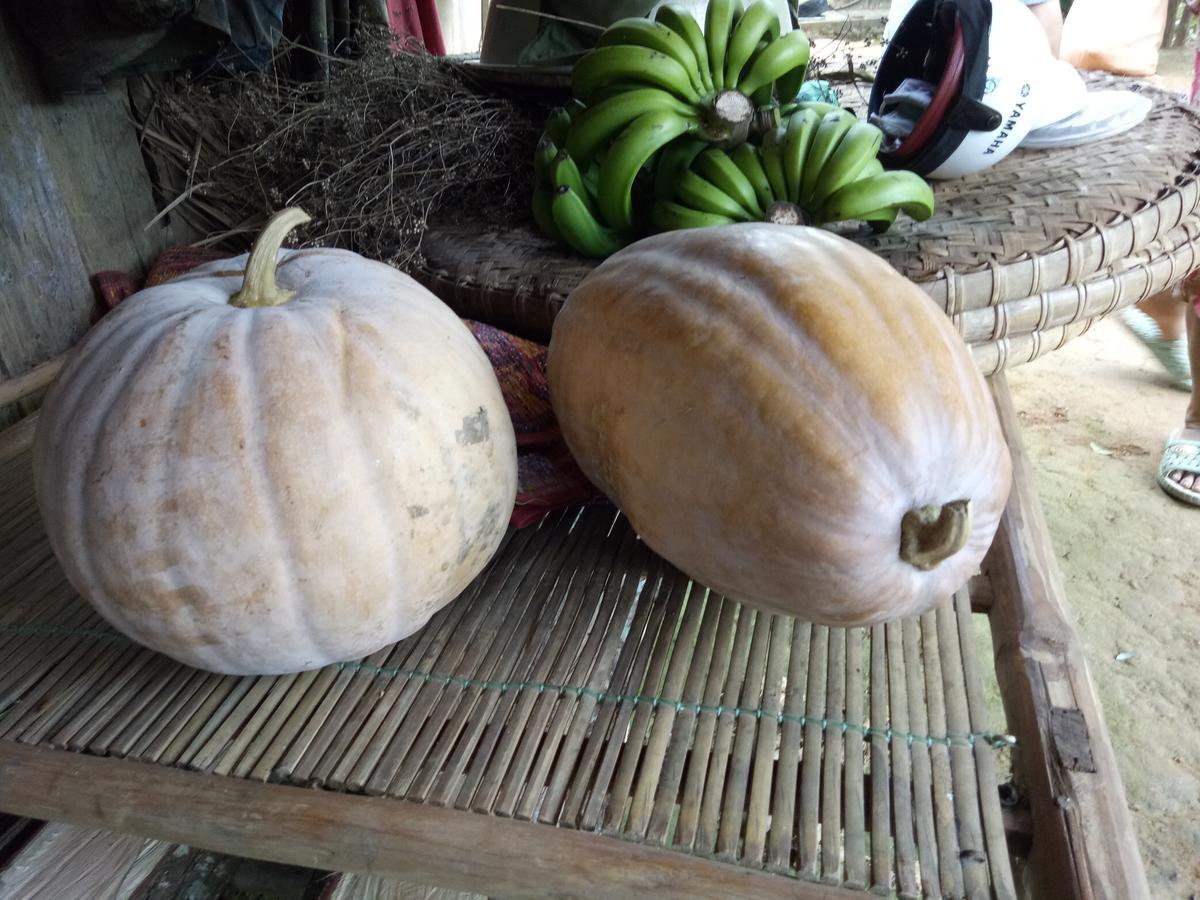 Phong Nha Rice Field Homestay 外观 照片