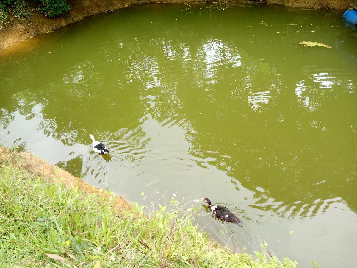 Phong Nha Rice Field Homestay 外观 照片