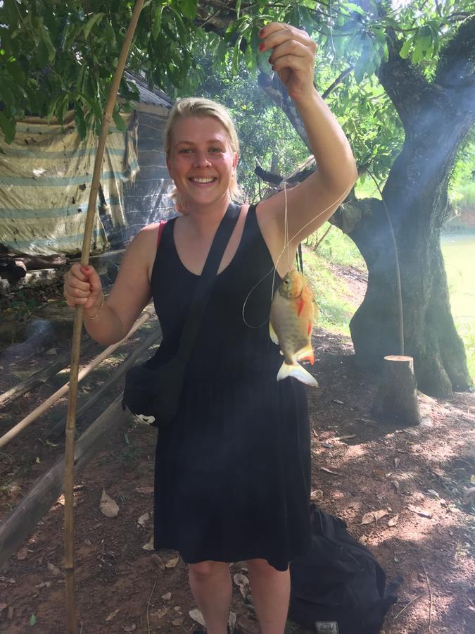 Phong Nha Rice Field Homestay 外观 照片