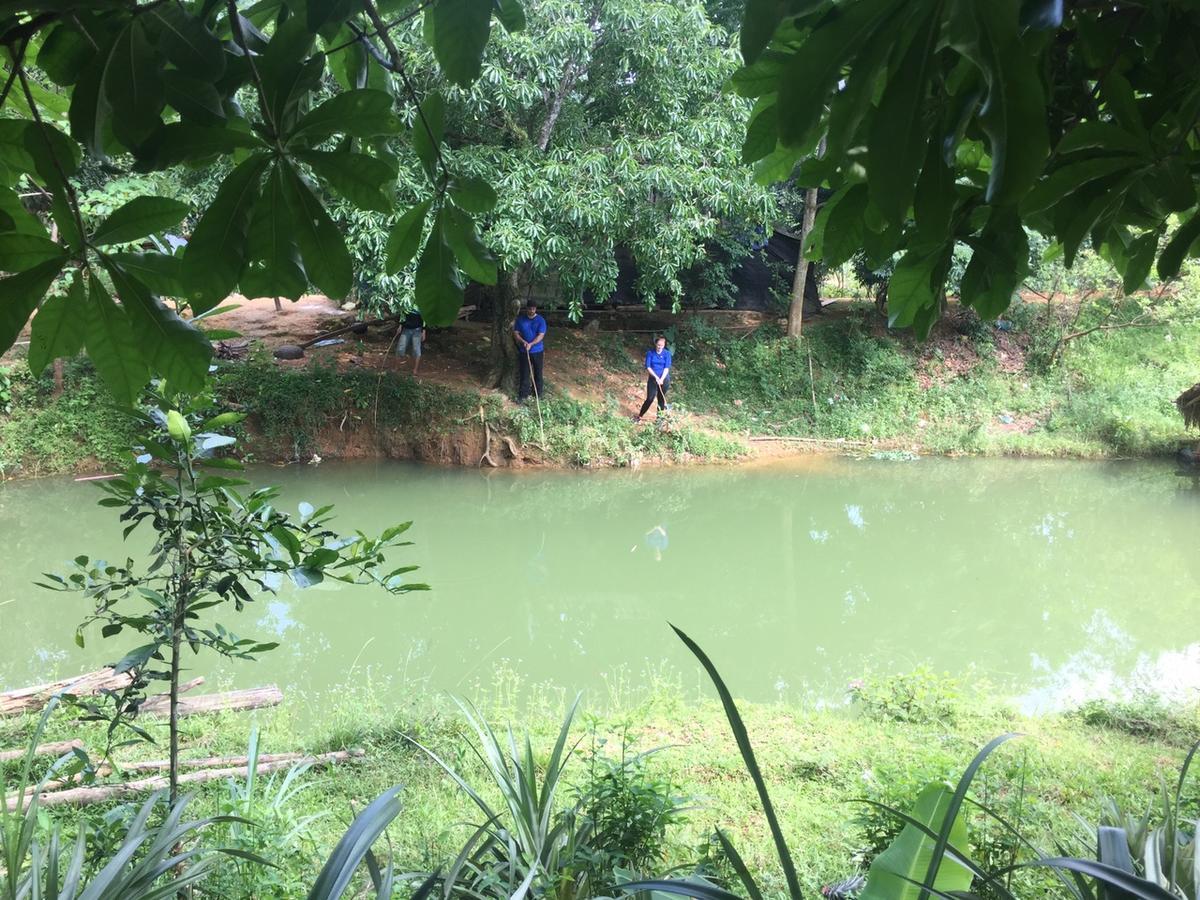 Phong Nha Rice Field Homestay 外观 照片