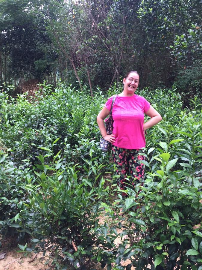 Phong Nha Rice Field Homestay 外观 照片