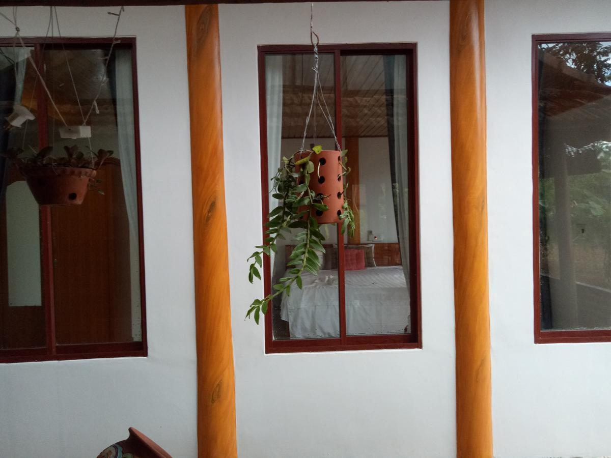 Phong Nha Rice Field Homestay 外观 照片